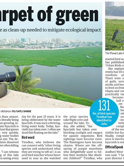 My fight to save the lake was featured in the Mid-day newspaper. Spreading awareness is a crucial step in protecting our urban wetlands and the wildlife that depends on them.