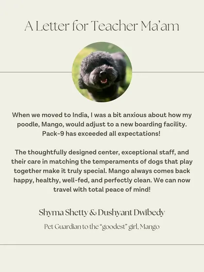 Hearing from happy pet parents is the reason I do what I do. This wonderful note from Mango's family shows the peace of mind that comes from knowing your dog is in a safe, caring, and perfectly clean environment.