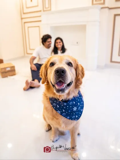 Sometimes, a photoshoot is about freezing a precious moment in time. It was an honor to capture Happy with his family, creating a memory that will bring them comfort and joy for years to come.