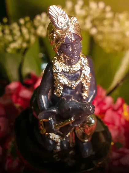 This unique idol of Lord Krishna is crafted from a deep blue stone and adorned with golden jewelry. It is a rich and regal representation, perfect for a collector or as a standout piece in your temple.