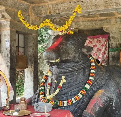 A priest performing rituals at a Nandi statue in a temple we visit during our Adiyogi day trip. We get to experience local traditions.