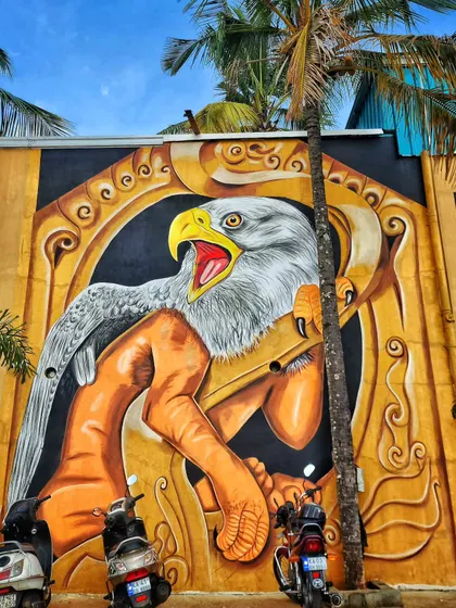 A close-up of the eagle's head, showing the detail and intensity we captured in its expression.