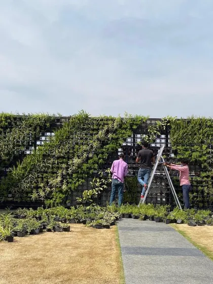 This photo shows my team during the installation of a large-scale vertical garden. You can see the modular panels being filled with individual plants before being mounted, a process that allows for creative and custom designs.