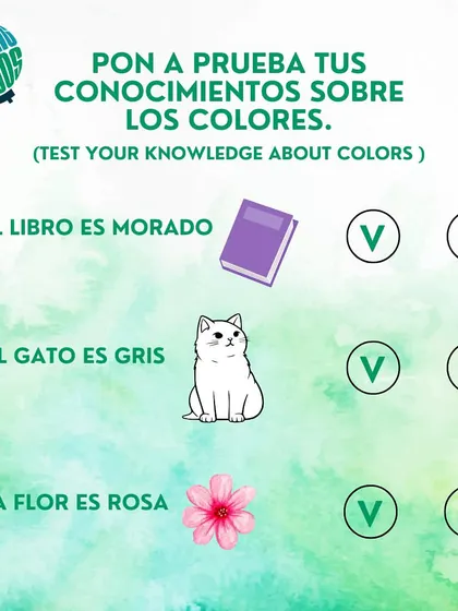 Test your Spanish color knowledge. Is the book purple ('morado')? Is the cat gray ('gris')? This true or false quiz makes learning colors interactive.