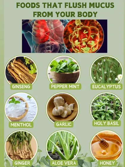 Here are foods that help flush mucus from your body, including natural remedies like ginger, garlic, holy basil, and honey.