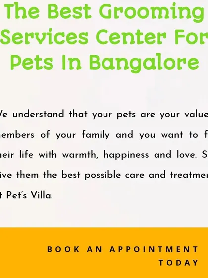Ready to give your pet the pampering they deserve? Booking an appointment with us is easy. Let's schedule a spa day for your furry family member today.