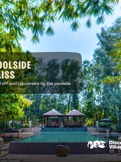 Find your bliss by our poolside. Surrounded by lush greenery, our pools offer a refreshing escape and a perfect spot to relax and rejuvenate.