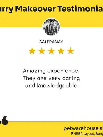 Knowing that our team is seen as caring and knowledgeable is the highest praise. We are dedicated to providing an amazing experience for every pet and parent who walks through our doors.