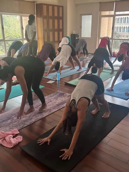 Students practicing Adho Mukha Svanasana (Downward-Facing Dog) in a workshop. This foundational pose is key to building strength and awareness throughout the body.