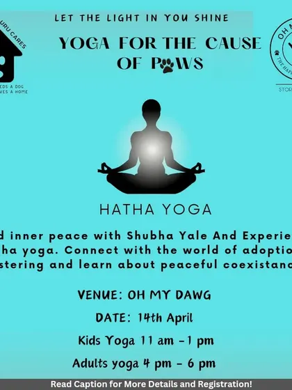 We collaborated with Yale Yoga and South Bengaluru Cares for a "Yoga for the Cause of Paws" event. It was a beautiful way to connect our community and raise awareness for adoption and fostering.