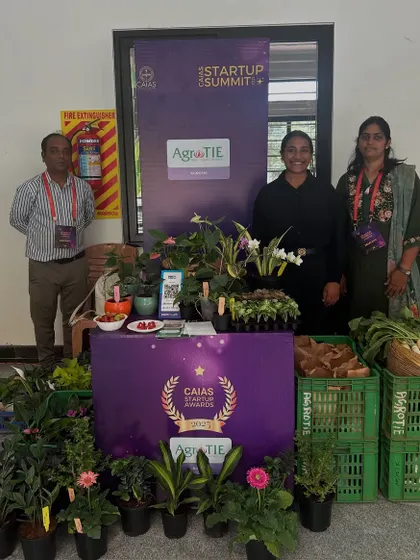 Our stall at the CAIAS Startup Summit, showcasing fresh produce and potted plants. We were proud to be recognized with a startup award at the event.