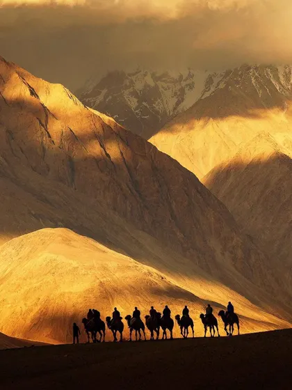 A caravan of camels is silhouetted against the golden, sun-drenched mountains of a vast desert landscape. This is a stunning example of travel photography that captures a sense of epic journey and adventure.