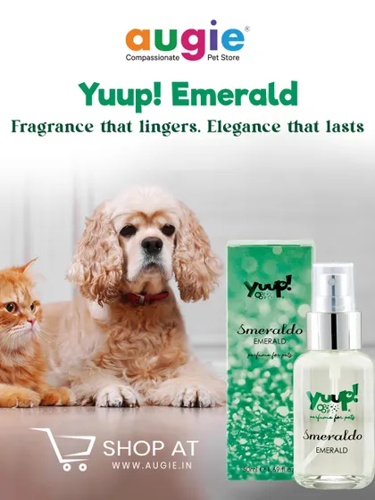 Yuup! Emerald perfume offers fragrance that lingers and elegance that lasts. It's the perfect finishing touch to keep your pet smelling wonderful between grooming sessions.