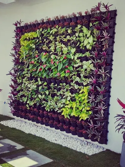 A full view of the custom vertical garden we installed on this terrace. It serves as a living piece of art and the focal point of the entire rooftop design.