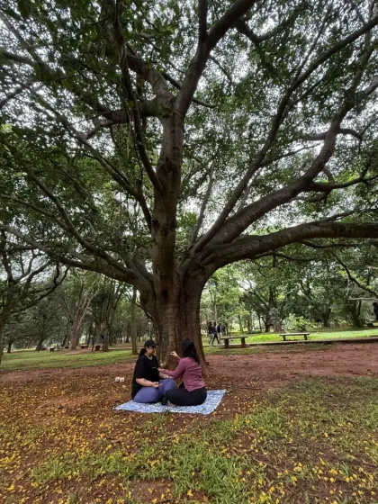 A moment from the sound healing portion of our park session. Using a singing bowl under this large tree created a deeply resonant and grounding experience for everyone.