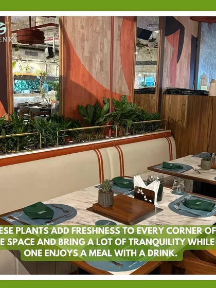 These planters are placed alongside booth seating to add freshness and tranquility to the dining experience. The greenery helps create a relaxing atmosphere where guests can enjoy their meal.