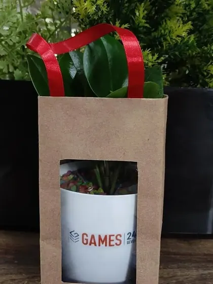An Earth Day gift for Games 24x7, packaged in a kraft paper bag with a window to display the branded plant inside.