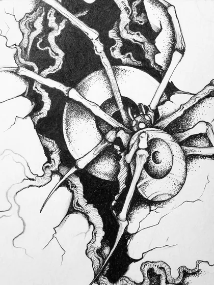 A close-up of the skeletal spider.