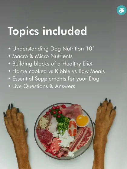 This slide outlines the curriculum for our comprehensive dog nutrition class. We cover macro and micronutrients, compare different diet types like home-cooked and kibble, and discuss essential supplements for your dog's health.