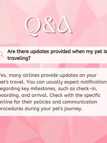 Yes, updates are provided while your pet is traveling. This post explains that airlines typically provide notifications for key milestones like check-in, boarding, and arrival, giving you peace of mind.