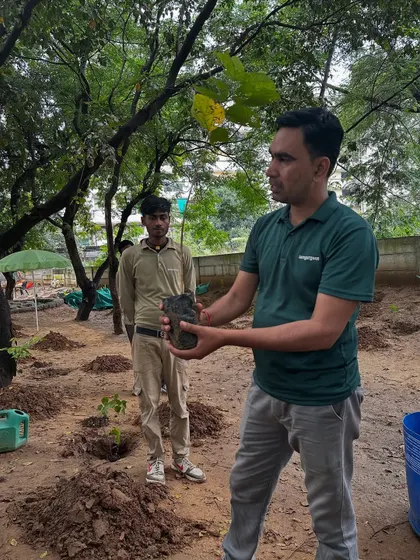 An expert from our team shows a Calpro volunteer a native sapling, explaining its ecological role before it's planted at Aravali Creek.