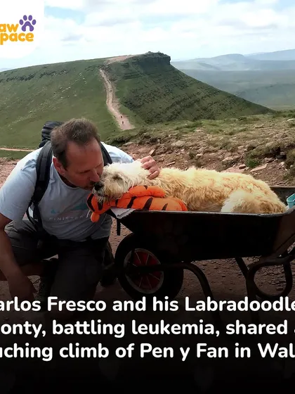 A moment of pure love between Carlos and Monty during their final climb. We believe in cherishing every moment with our furry family members.