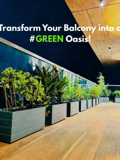 Even a small balcony has the potential to become a beautiful green oasis. We specialize in designing functional and attractive balcony gardens, using lightweight planters and a mix of plants to maximize space and create a personal retreat.