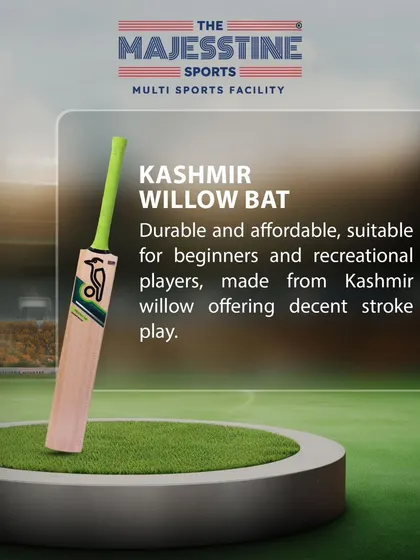 A closer look at the Kashmir Willow bat, a popular choice for those starting their cricketing journey.