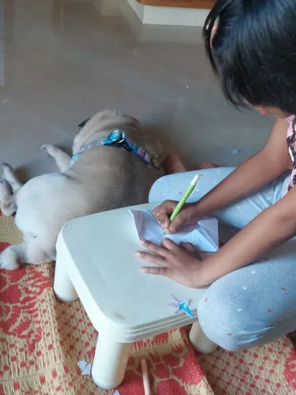 A quiet afternoon scene with my daughter doing her homework while Max the Pug naps beside her. This is what home-style boarding looks like.