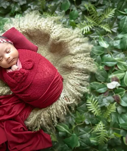 A sleeping beauty nestled in a bed of lush greenery. The vibrant red wrap provides a stunning contrast against the green leaves, creating a rich and captivating image.