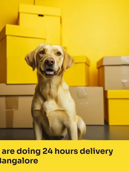 Need pet supplies in a hurry? We've got you covered with 24-hour delivery across Bangalore. Get your pet's favorite food, treats, and toys delivered right to your doorstep, fast.