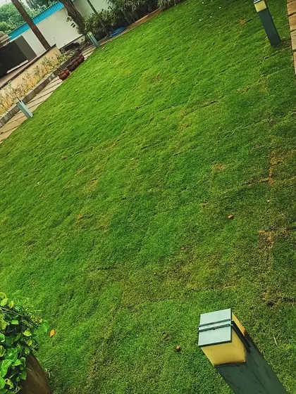 A close-up of the lush turf, complemented by modern outdoor lighting fixtures that illuminate the garden at night.