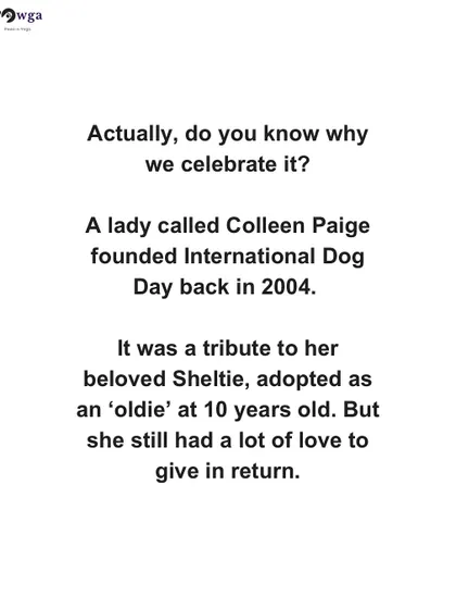 We share the origin story of International Dog Day, founded by Colleen Paige as a tribute to her adopted senior dog, to remind everyone of the value of adopting, not shopping.
