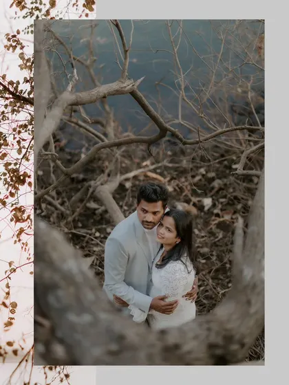 An artistic shot looking down on a couple embraced amongst the tangled branches of trees by a lake, creating a unique and intimate natural frame.