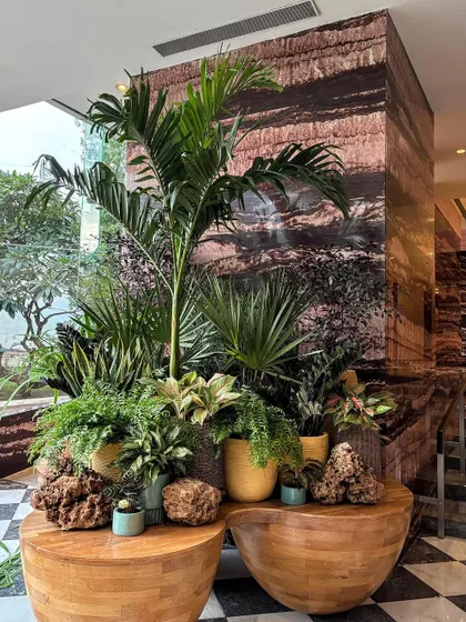 A dynamic, lush plant arrangement can soften even the grandest of spaces. Here, at the Westin Mumbai Powai, we used a curated cluster of plants to bring life and natural texture to the end of a grand staircase.
