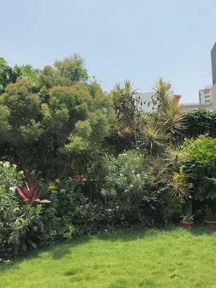 This is the kind of established, beautiful garden that inspires us. We were entrusted with helping the client recreate this feeling in her new home, a testament to the emotional connection we all have with our green spaces.