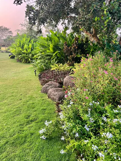 Natural boulders are nestled among flowering shrubs and a manicured lawn. I often use locally sourced stones in my designs to add a sculptural element and create a seamless blend between the manicured and the wild.