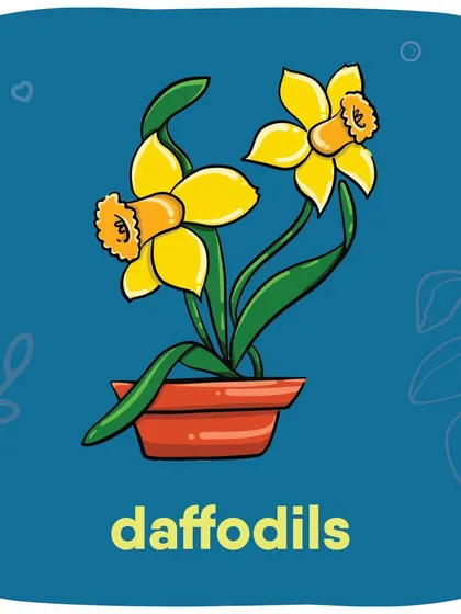 Daffodils, especially the bulbs, are toxic and can cause serious stomach problems, tremors, and cardiac issues.