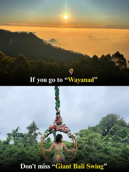 Did you know Wayanad has a Giant Bali Swing? I include such unique and Instagram-worthy experiences in my trips.