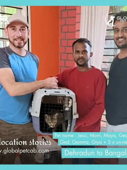 A happy client with our team members after we safely relocated a large family of cats from Dehradun to Bangalore. We are equipped to handle large-scale and complex moves.