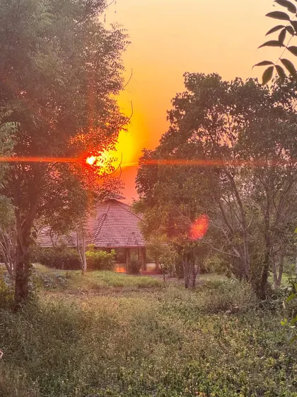 The sun sets behind our Chakra Hall, one of our main yoga shalas. The open design allows the sights and sounds of nature to become part of our practice.
