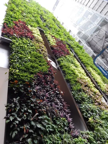 Looking up at a multi-story vertical garden on a corporate building. I can execute complex, large-scale designs that make a bold architectural statement.