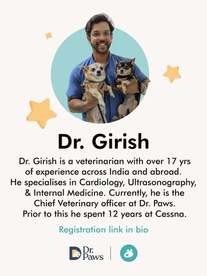 Meet Dr. Girish, a veterinarian with over 17 years of experience specializing in cardiology and internal medicine. As the Chief Veterinary Officer at Dr. Paws, he brings a wealth of expert knowledge to our health masterclasses.