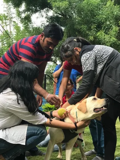 A hands on moment from a training workshop. Here, we are learning how to properly handle a dog and make them feel secure, which is a crucial skill for every pet parent.