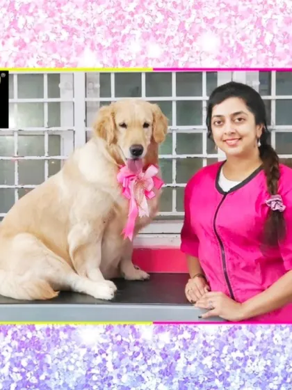 Chelsey the Golden Retriever is pretty in pink after her spa session. Her beautiful coat is glowing, and the big bow is the perfect finishing touch.