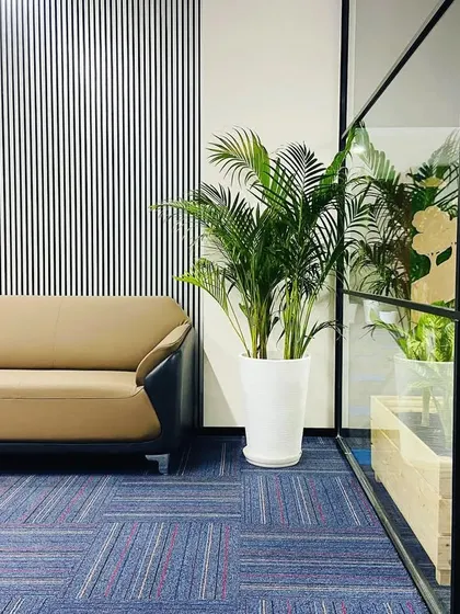 A view showing layered planting, with a tall palm in the background and shorter plants in a wooden planter in the foreground, adding depth and a lush feel to the space.