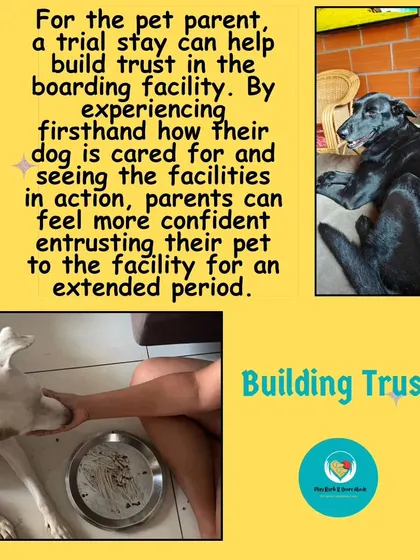 Building trust is a two-way street. When you see your dog being cared for properly during a trial stay, you can relax knowing they are in good hands.
