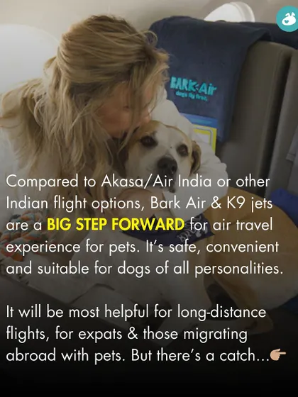 Compared to current options, services like Bark Air are a big step forward for safe and convenient air travel, especially for those migrating abroad with pets.