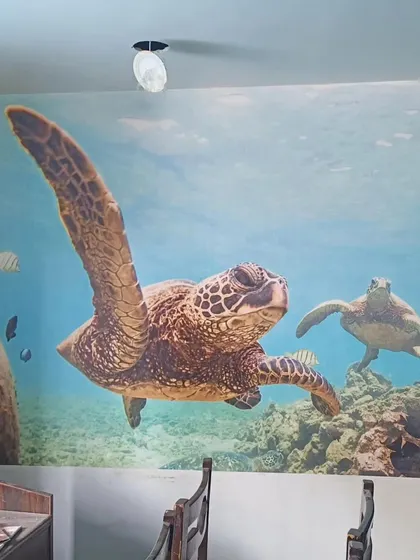 A stunning underwater mural of sea turtles. The detail and color make the wall feel like an aquarium window.