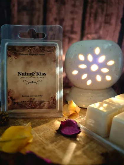 My 'Nature Kiss' wax melt next to a lit warmer. This fresh, sweet, and woody scent is perfect for creating a serene vibe in your home.